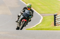 PJ-Motorsport-Photography-2020;anglesey;brands-hatch;cadwell-park;croft;donington-park;enduro-digital-images;event-digital-images;eventdigitalimages;mallory;no-limits;oulton-park;peter-wileman-photography;racing-digital-images;silverstone;snetterton;trackday-digital-images;trackday-photos;vmcc-banbury-run;welsh-2-day-enduro